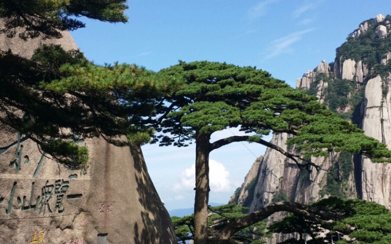 Scenic Spots